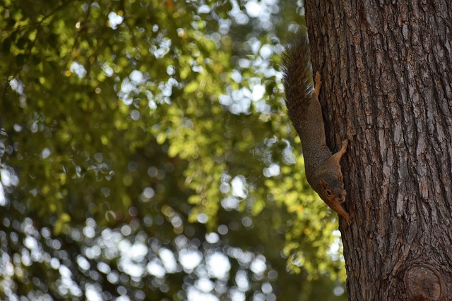 下另外一名 下另外一名