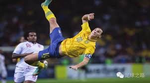 体型和健美 体型和健美