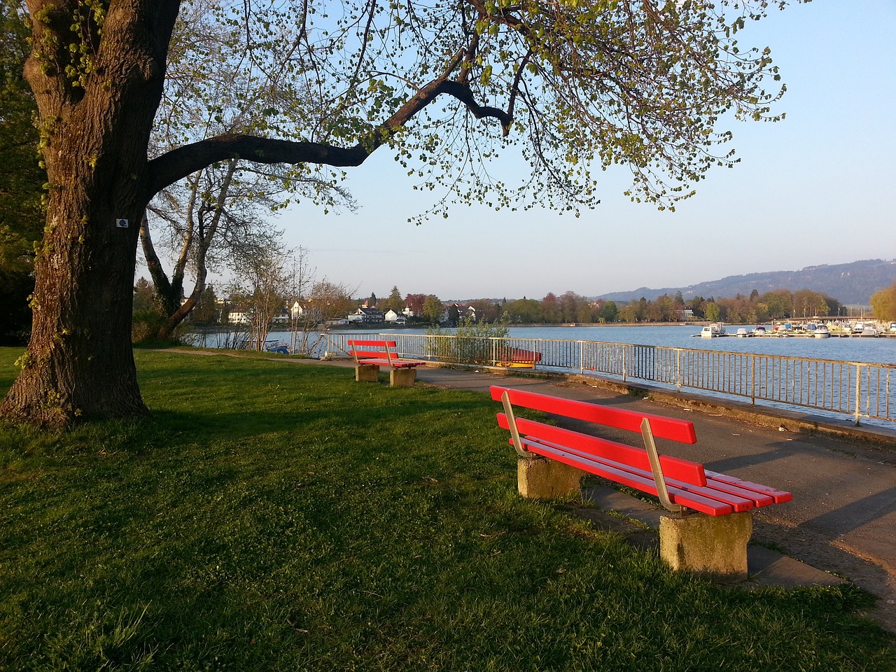 快速反应 快速反应