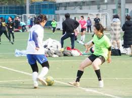 大放异彩 大放异彩