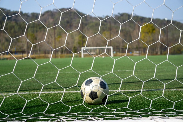 被限制或落 被限制或落