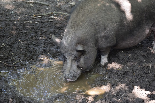 力强的身体 力强的身体