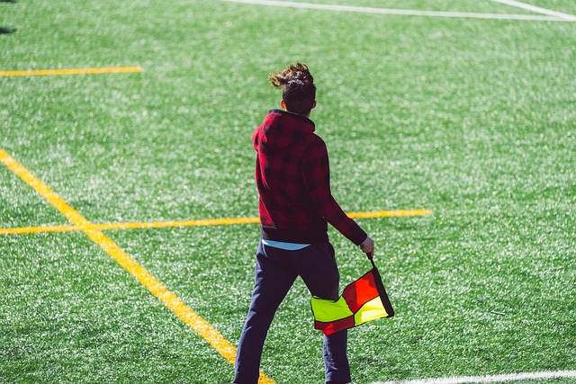 出及时调整 出及时调整