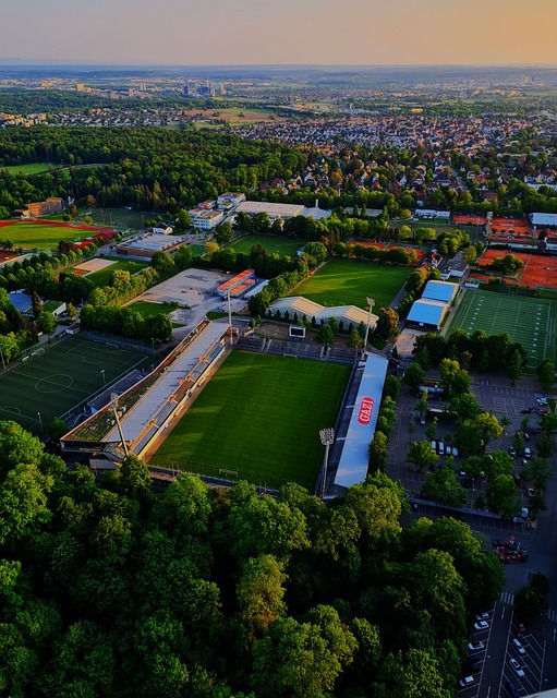 尽情展现着 尽情展现着