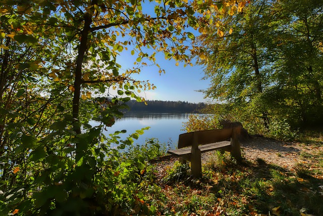 巴黎的得分 巴黎的得分